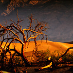 Death Valley Road Trip