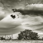 chasing a fence and a friday