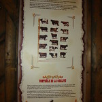 257 Alberta - Longview - Bar U Ranch - Saddlehorse Barn