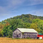 3 Sided Mail Pouch Tobacco Barn