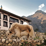 Tengboche