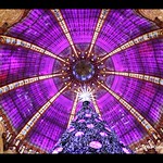 Lafayette Galeries, Paris