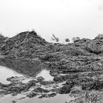 Sint-Gillis-Waas, Oost-Vlaanderen, Belgi&euml;.