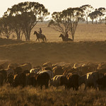marlboro country (Explored)