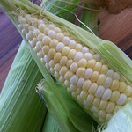 First Corn