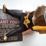 Aimee Mann Hell Yeah