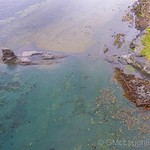 Saltwick bay and the Nab, Whitby, North Yorkshire