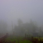 Morning fog II