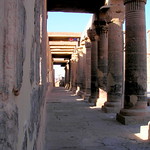 FLOWER TOPPED COLUMNS....EGYPT