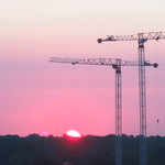 cranes and sunrise (49)