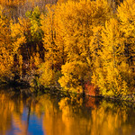 Fall colours reflected in North Saskatchewan River