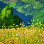 Definition of summer