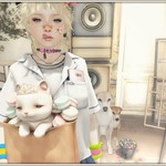 【◎】&omega;・*)ゞ