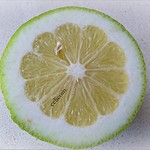 limon