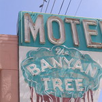 Banyan Tree Motel, St. Pete FL