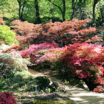 Exbury House and Gardens in 17th May 2018, Exbury, Southampton, SO45 1AZ .Hampshire, England.