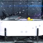 Beauty and the Beast, a love story ........