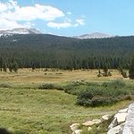 Yosemite - Tuolumne Meadows Panorama 360&ordm;