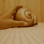 Holding a sea shell