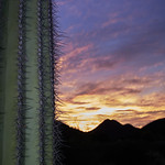 Sonoran sunset 2 (Explored April 18)