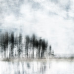 reaching for the sun . . .