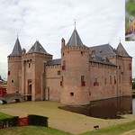 'In Vain You Run'. Muiden Castle and Philanthus triangulum, Bee-killer Wasp on Sea Holly, Eryngium sp., Muiden, The Netherlands