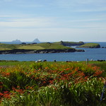 skelligs