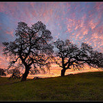 Arrest that Sunrise [Explored]