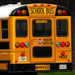 That's a lot of reading to be done there