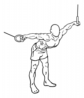Einarmige liegestütze gehören zu den königsübungen in der welt der push ups. Brust - Gym Hero