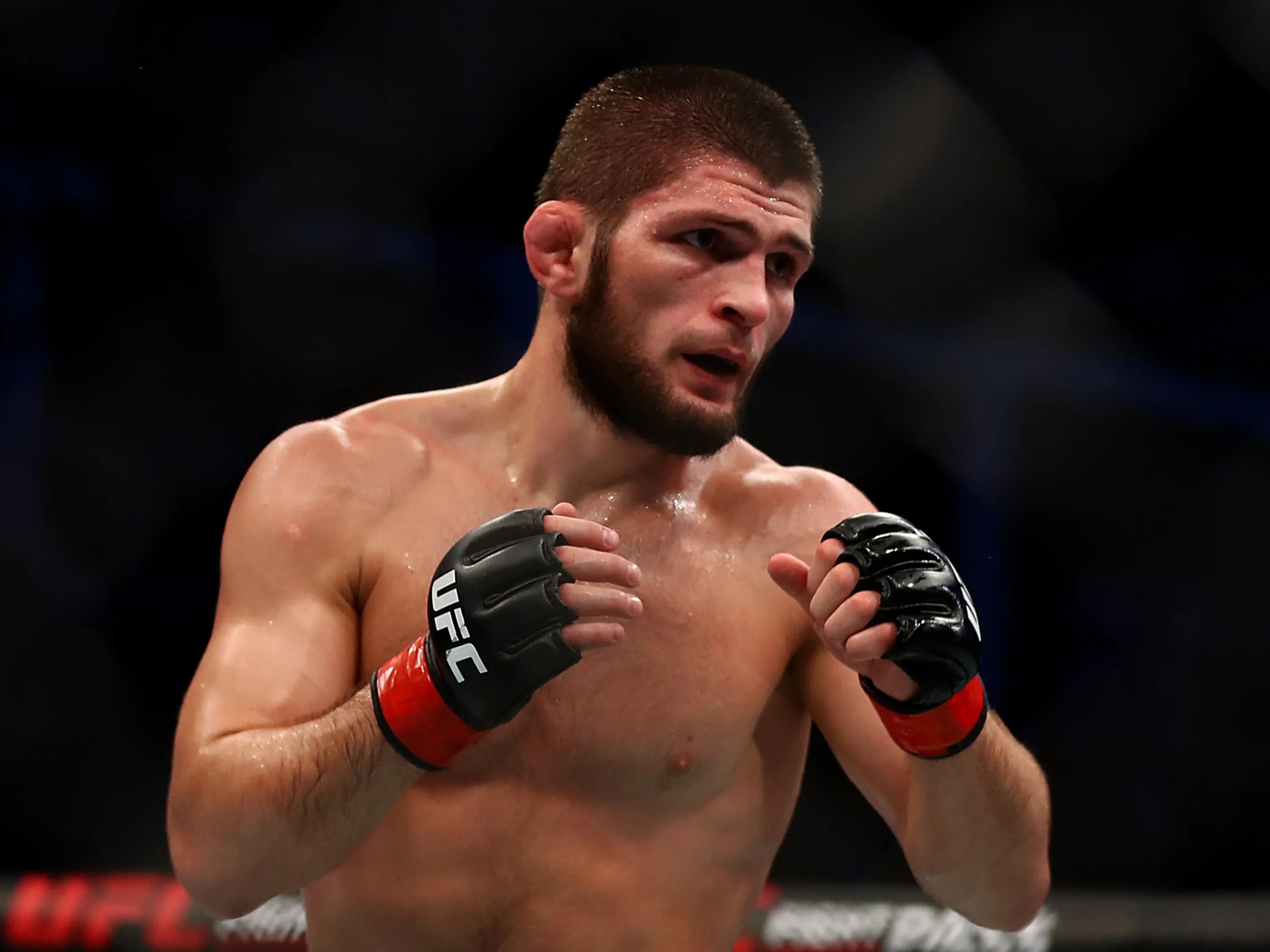 Khabib Nurmagomedov: The Undefeated Champion’s Legacy Revealed
