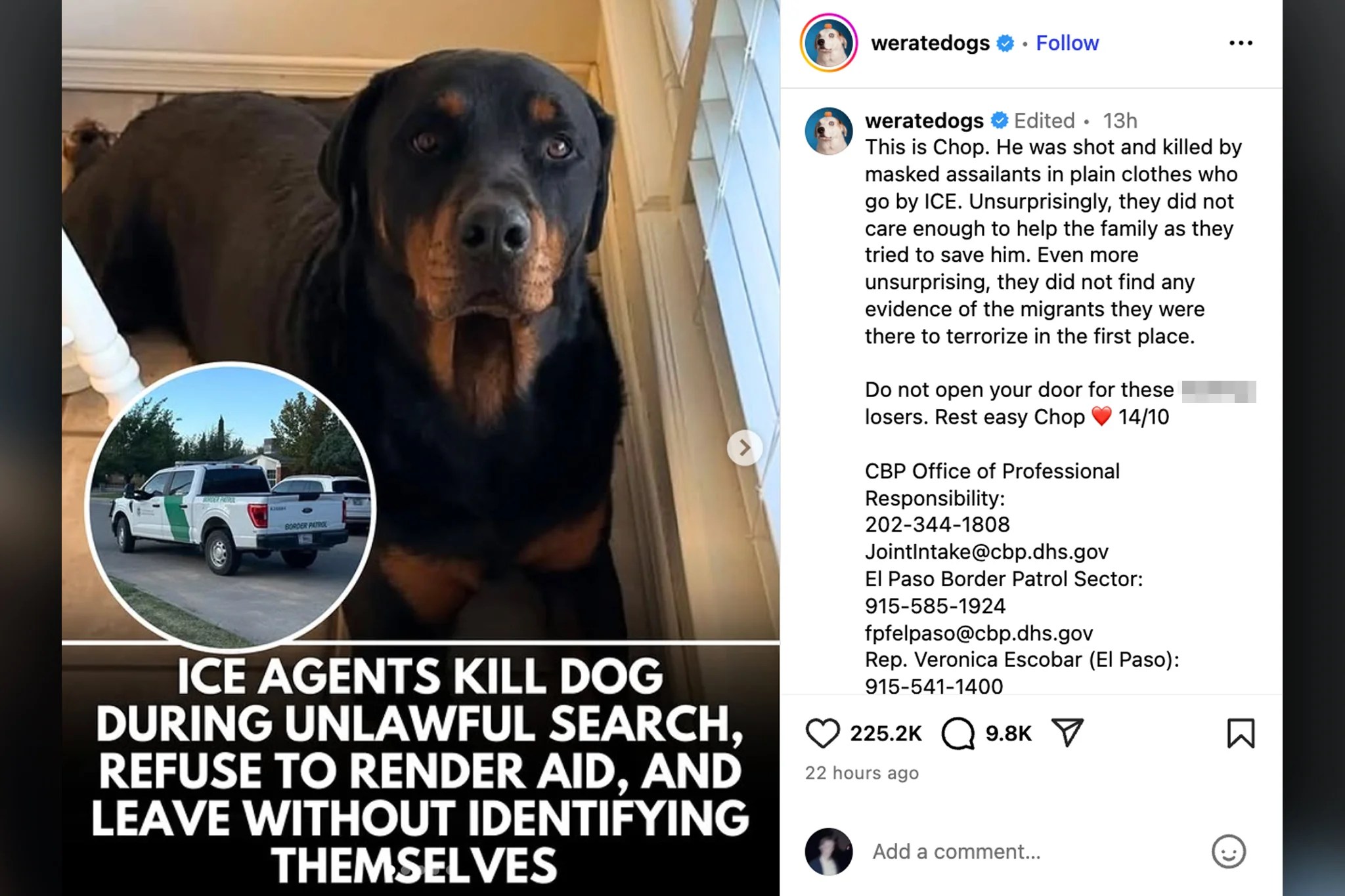 Beloved social account WeRateDogs leaves wholesome content behind to attack immigration officials after dog shot