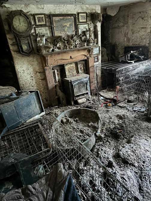 Crufts winner banned from owning dogs for a decade after dozens found starving in her squalid home