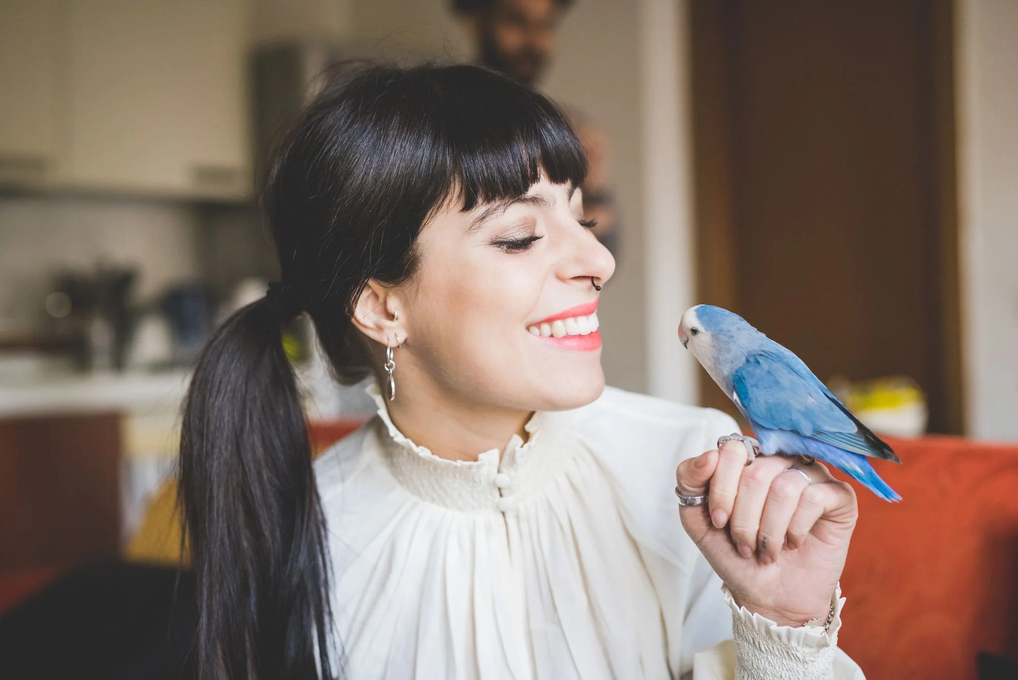 Keep pets happy, healthy and stress-free this summer
