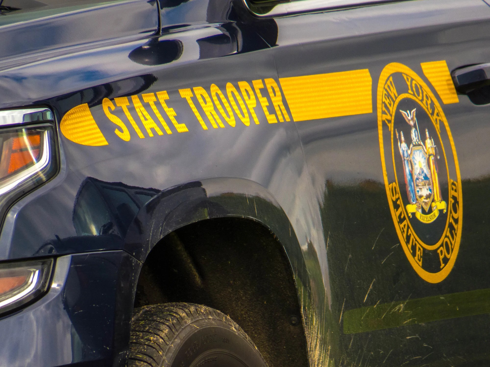 Driver, 72, killed after her car crashed into a horse