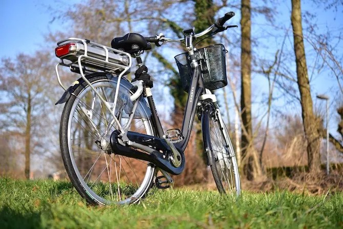 bike license