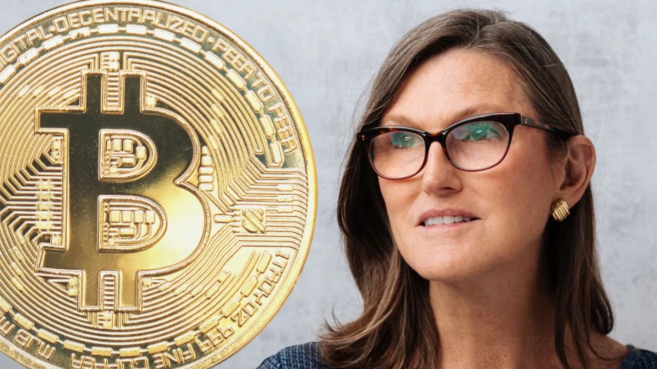 In november 2022, the bitcoin price is forecasted to be on average $57,707.645. Ark Invest S Cathie Wood Doubles Down On 500k Bitcoin Prediction Discusses Crypto Regulation Markets And Prices Bitcoin News