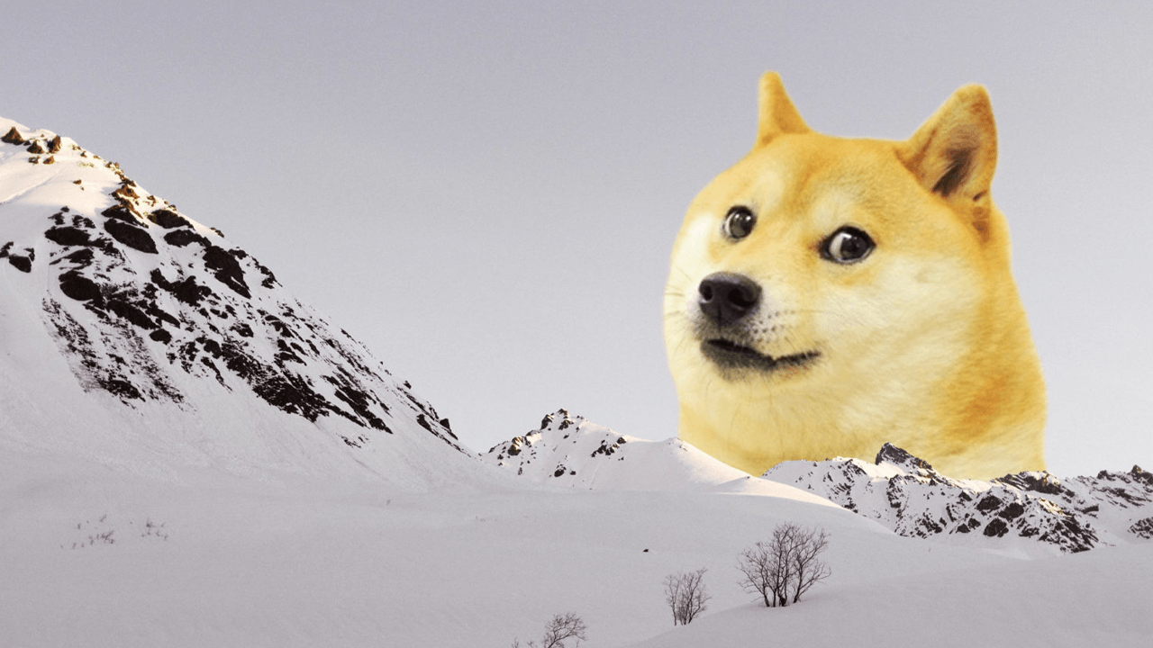 Meme Coin Market Climbs 23.9% Since Early July, Adding  Billion
