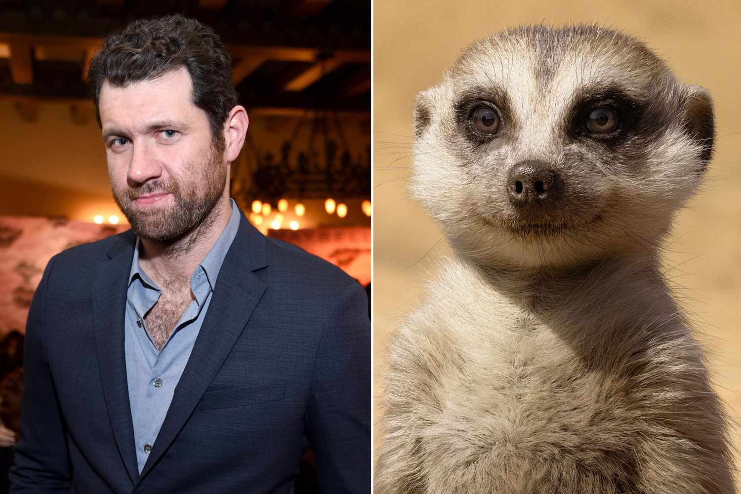The character of scar is brought to life by the phenomenal actor chiwetel ejiofor in the lion king 2019. Billy Eichner S Best Lines As Timon In The Lion King Remake Ew Com