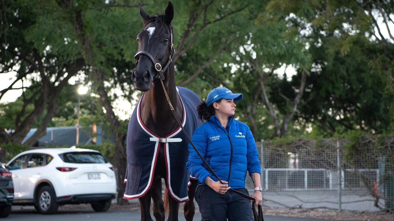The cox plate will be run on saturday 23rd october at moonee valley racecourse. Jumps session to switch on Avilius for Cup - Racenet