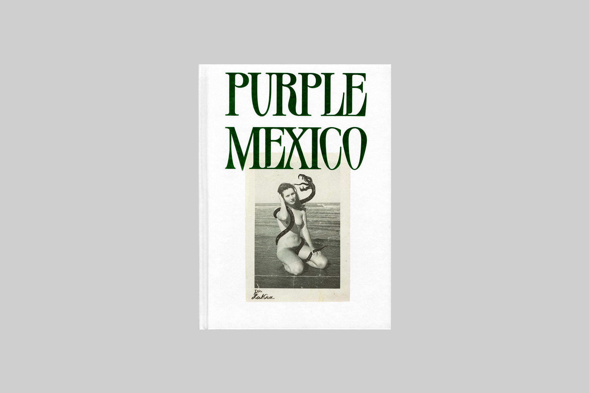 洋書 PURPLE: The Mexico Issue Purple 36: The Mexico Issue – Perimeter Books