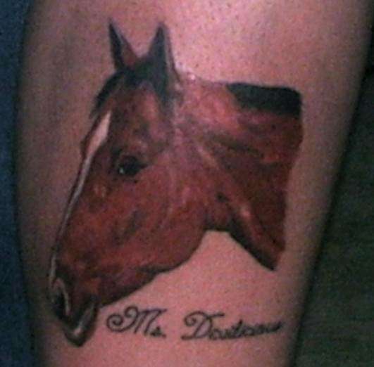 Horse Portrait Tattoo 522_x_531_jpg