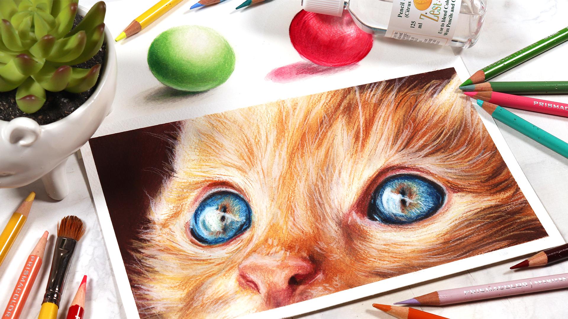 Most of them are pretty easy. Colored Pencil Drawing Technique Blending With Solvent Kirsty Partridge Art Skillshare