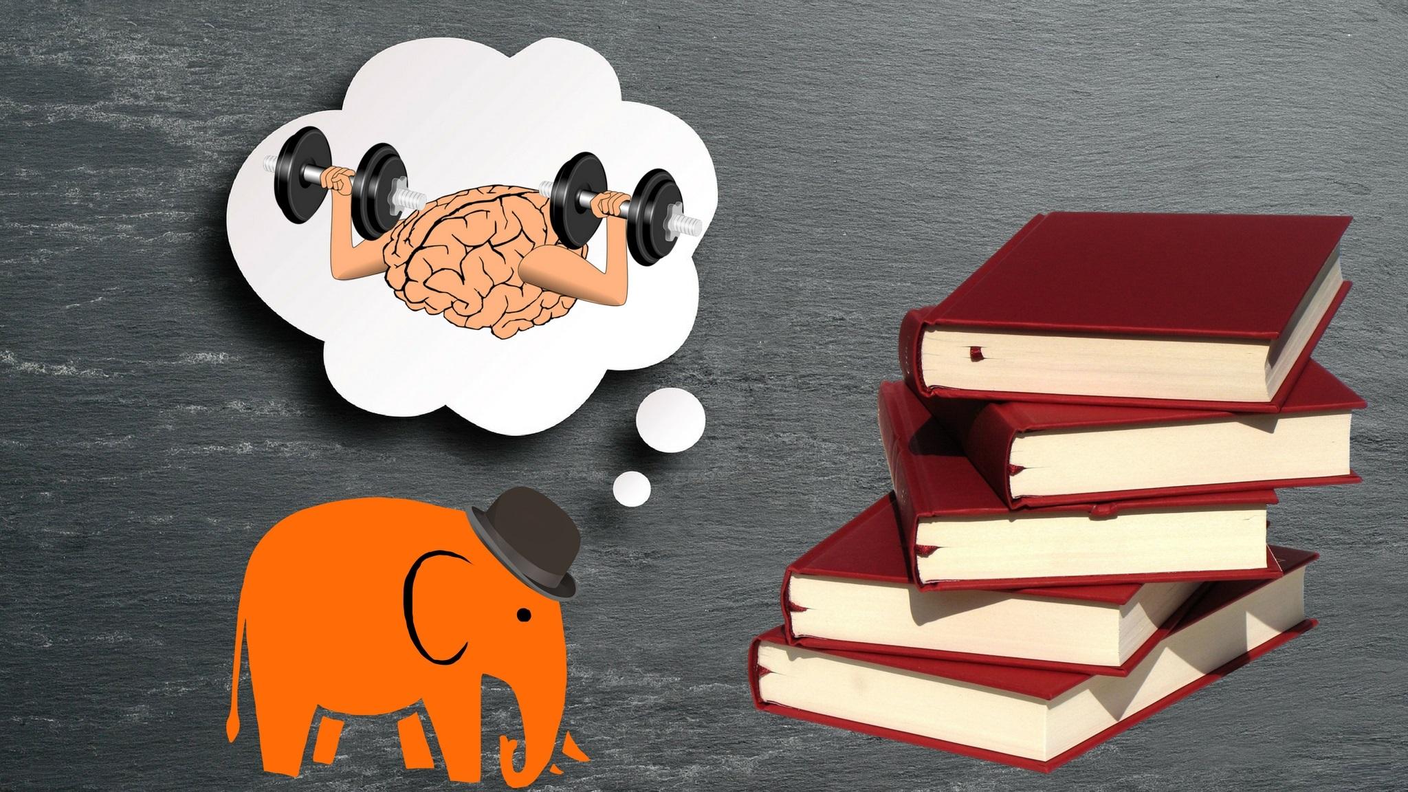 It is based on the novel de zaak alzheimer . The Complete Memory Improvement Course -Your Ultimate Guide to a ...