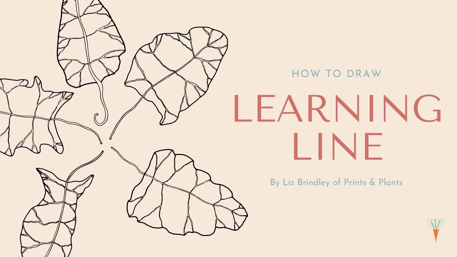 Understand the meaning of contour lines. How to Draw: Learning Line | Liz Brindley | Skillshare