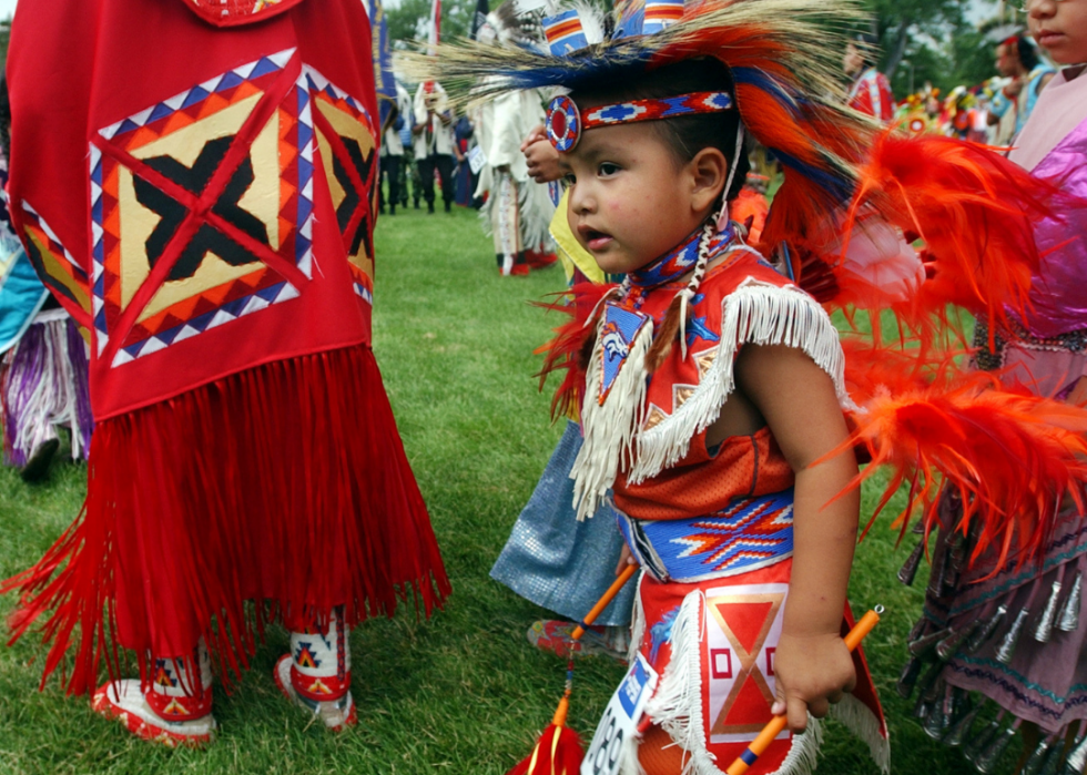 Rich, complex societies existed in america long before european settlers arrived. Biggest Native American Tribes Today Stacker