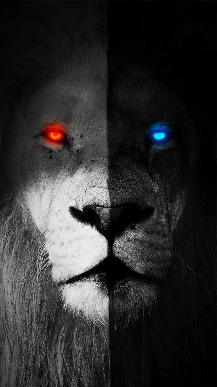Search free lion wallpapers on zedge and personalize your phone to suit you. Hd 4k Lion King Wallpaper Wallpapers For Mobile