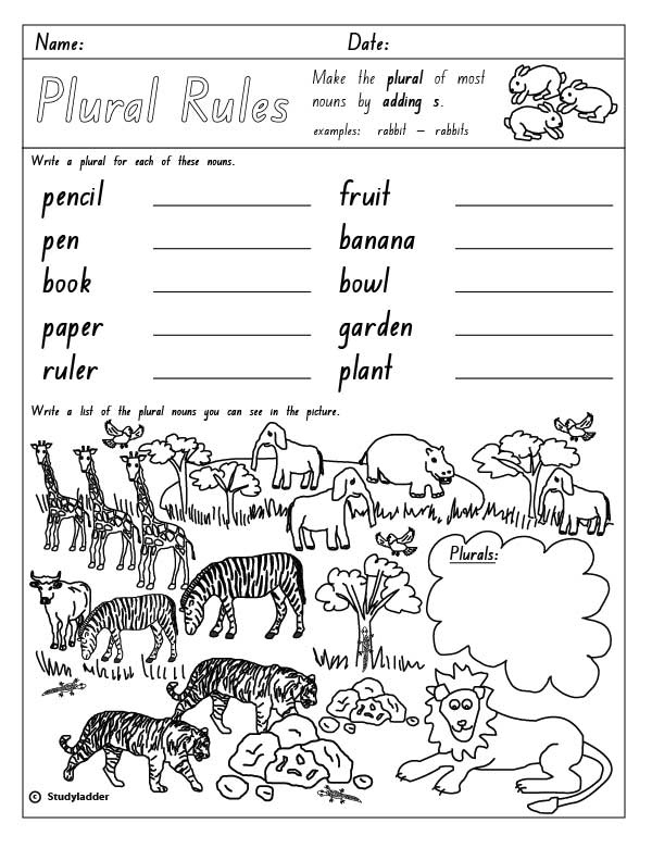 plural rules adding s studyladder interactive learning