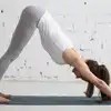 headstand is the king of yoga poses; 5 Yoga Poses That Can Help You Prepare For Headstand The Times Of India
