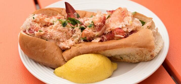 Within a few hours of phoenix, you can discover wineries, natural wonders, mining towns turned into artist colonies, and more. 10 Best Viator Tours In Boston Massachusetts Updated 2021 Trip101